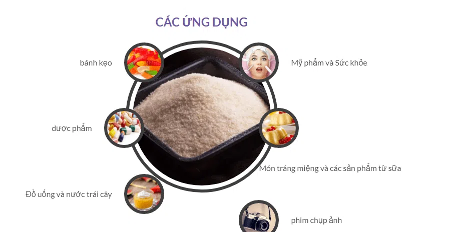 Ứng dụng cơ bản của Collagen