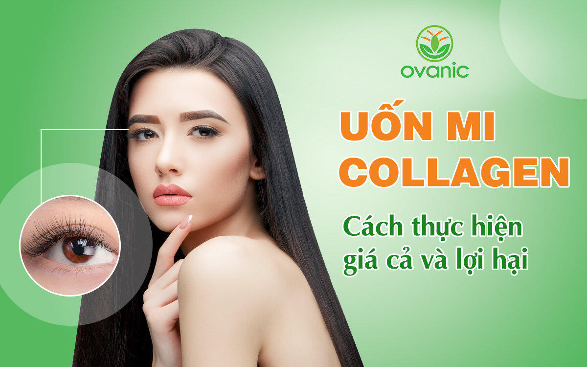 Uốn mi collagen