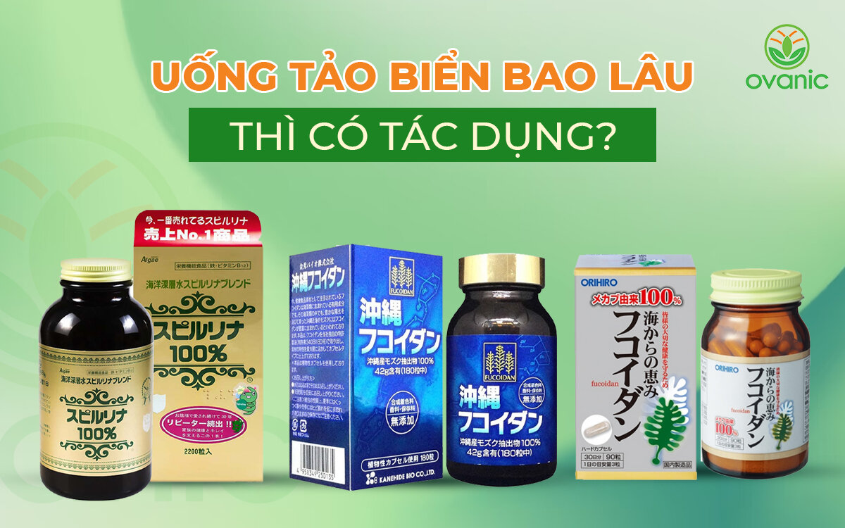 uống tảo biển bao lâu thì có tác dụng