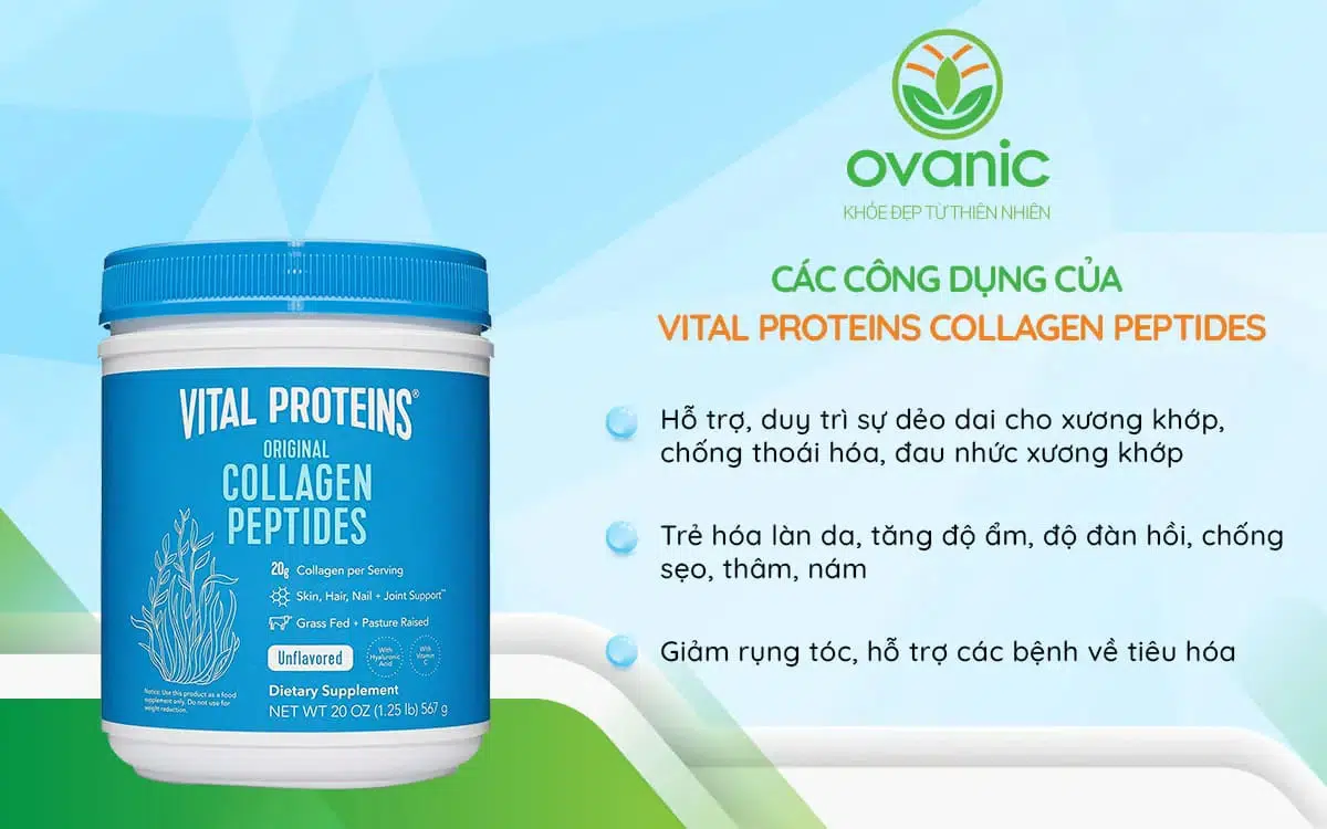 hình Bột Collagen
