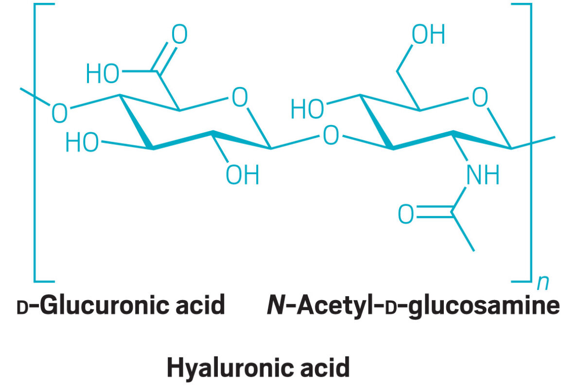 hình Disaccaride này cấu tạo từ 2 chất