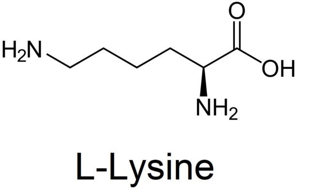 hình Lyssine