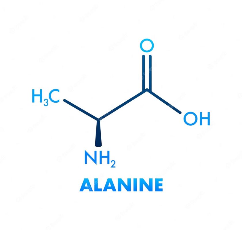 hình Alanine và cấu trúc phân tử đặc trưng của nó