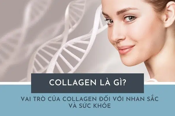 collagen là gì
