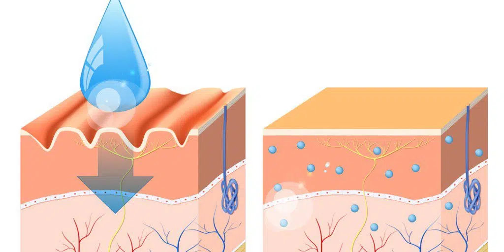 hình Giảm nếp nhăn trên da được ghi nhận khi sử dụng HA đều đặn