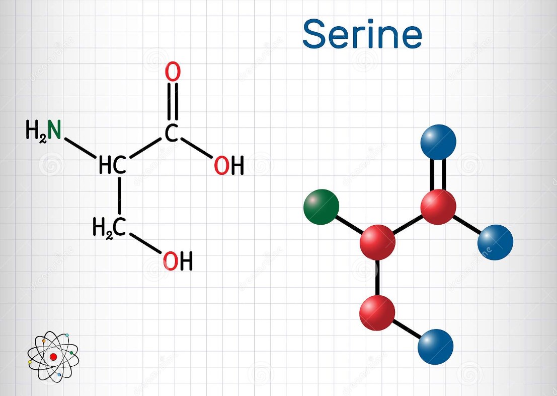 Tìm hiểu về Serine