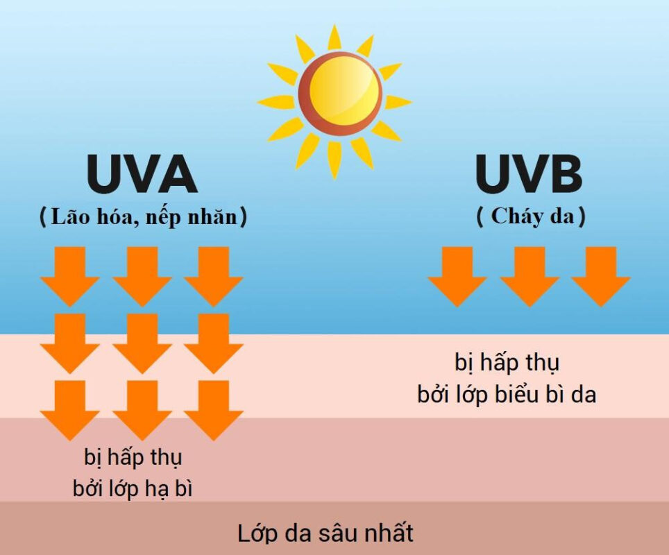 Tác hại của mặt trời