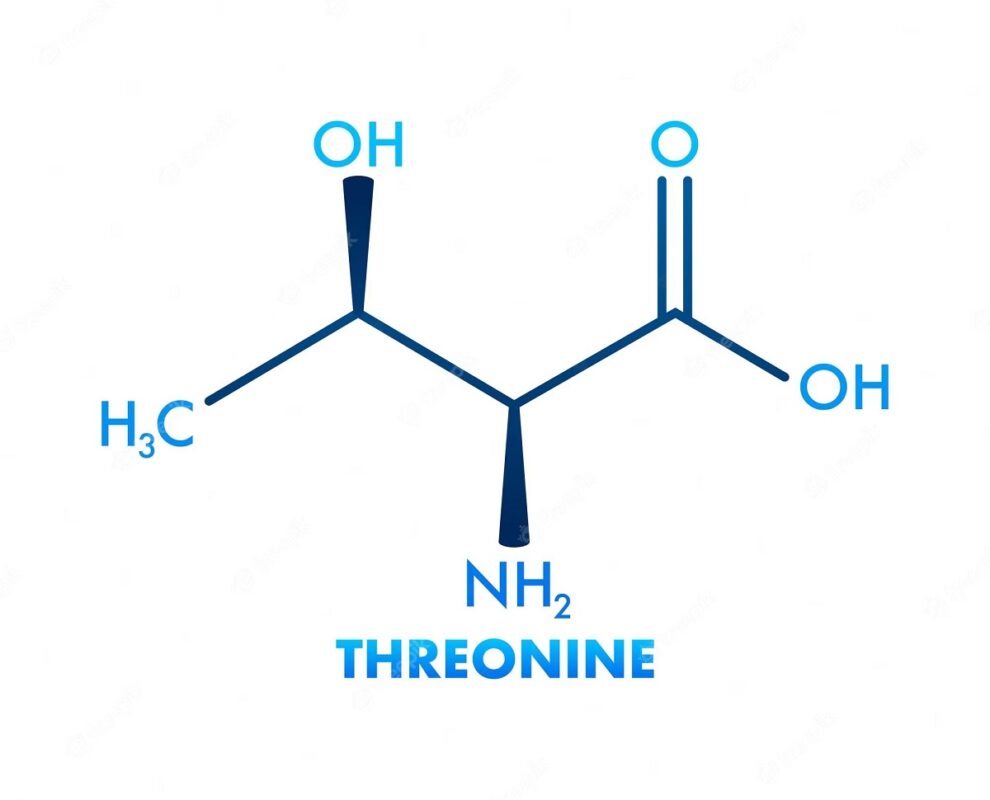 hình Threonine một axit amin quan trọng với nhiều tác dụng sinh học