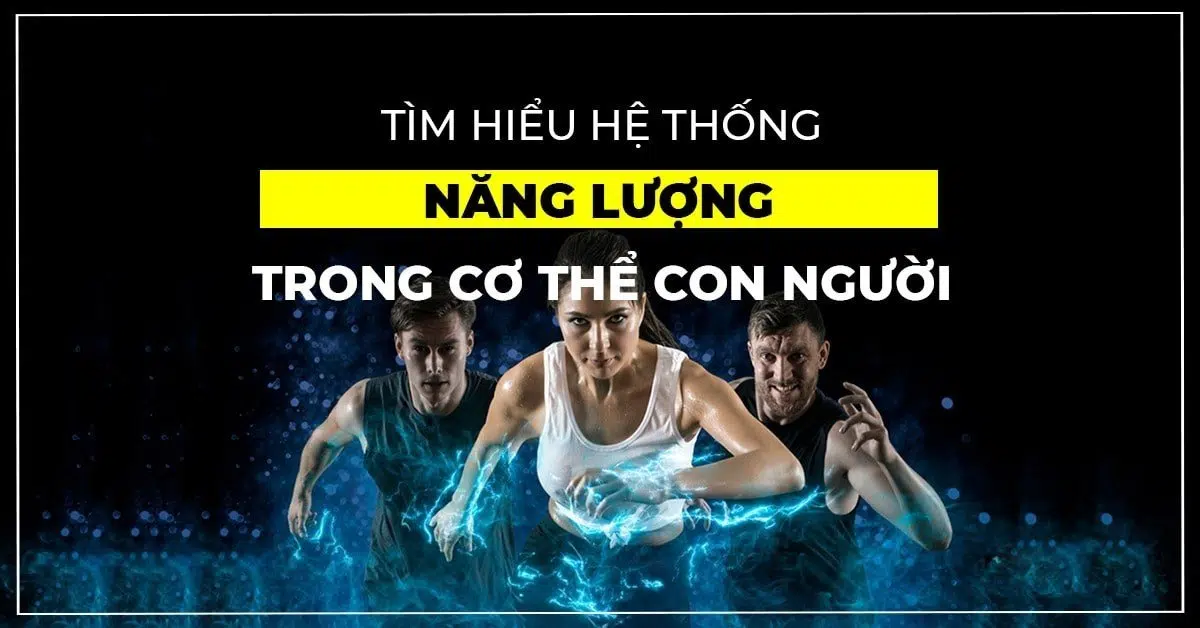 năng lượng cơ thể