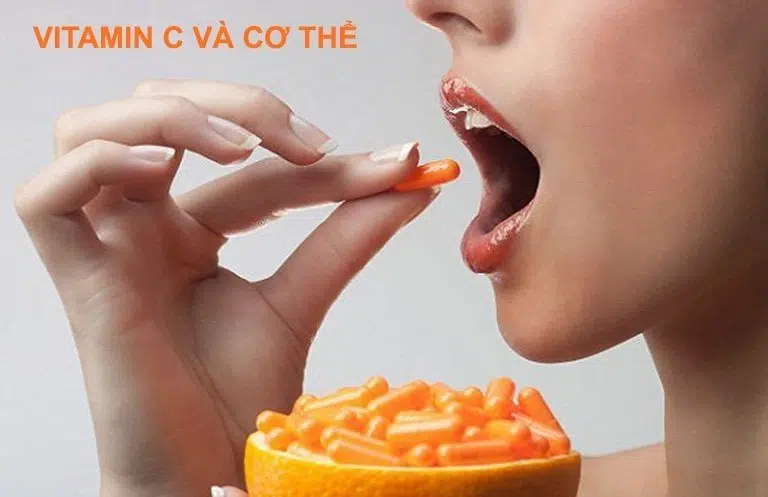 vitamin C và cơ thể
