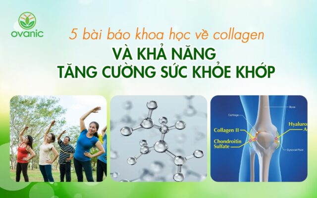 5 bài báo khoa học về collagen về khả năng tăng cường sức khỏe khớp