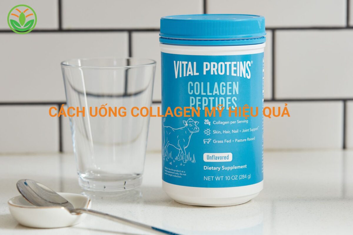 Hướng dẫn cách uống collagen Mỹ