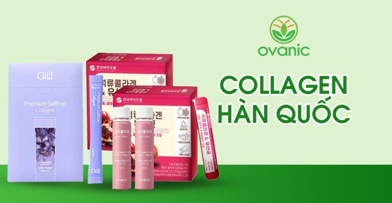 Collagen Hàn Quốc nổi bật tại Ovanic.vn