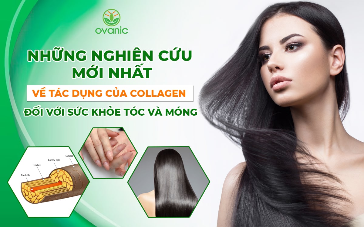 Nghiên cứu mới nhất về tác dụng của collagen đối với sức khỏe tóc và móng