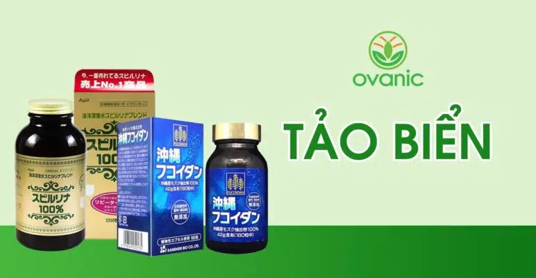 Tảo biển Nhật Bản tốt nhất tại Ovanic.vn