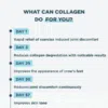 Multi Collagen Protein Powder - Supports Healthy Skin, Nails & Joints - Vanilla (45 Servings)