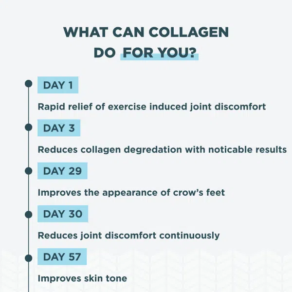 Multi Collagen Protein Powder - Supports Healthy Skin, Nails & Joints - Vanilla (45 Servings)