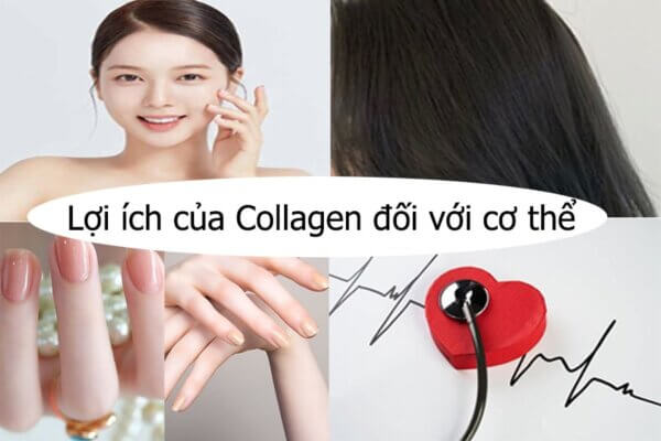 Lợi ích collagen hàn quốc