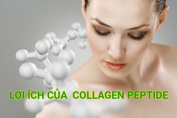 Lợi Ích Của Collagen Peptide