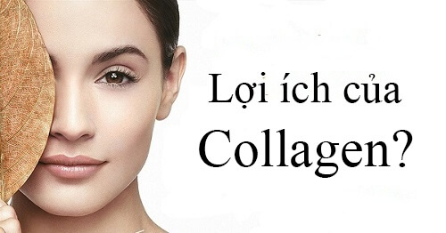 Lợi ích của collagen