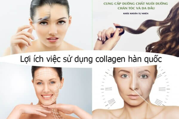 Lợi ích collagen Hàn Quốc