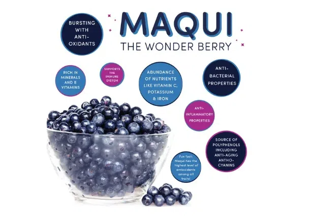 Công dụng Maqui Berry