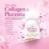 Thành phần Viên Uống Collagen Nhật Bản Placenta 5 In 1