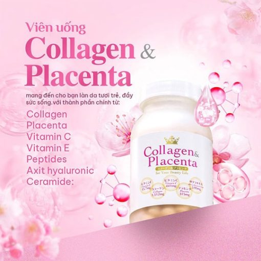 Thành phần Viên Uống Collagen Nhật Bản Placenta 5 In 1