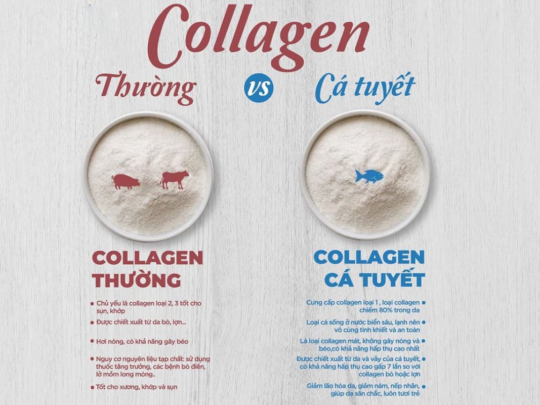 Bảng so sánh collagen thường và collagen cá