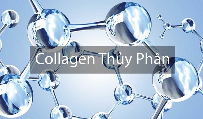 Collagen thủy phân là gì