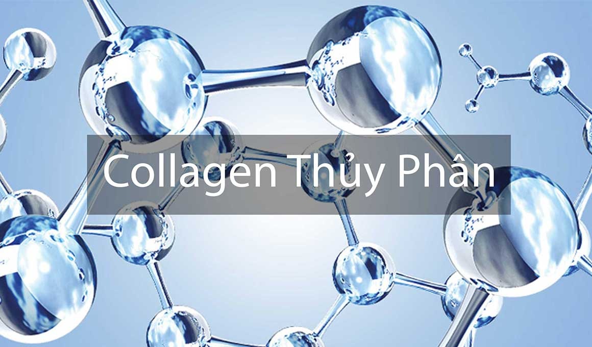 Collagen peptide là gì