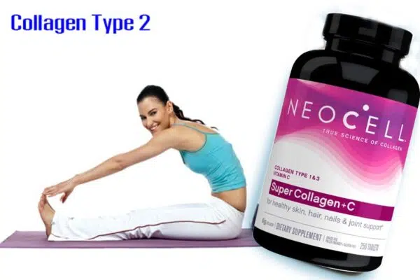 Collagen Type II