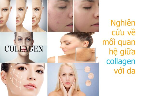 Nghiên cứu mối quan hệ