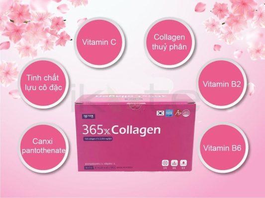 thành phần Collagen 365X Hàn Quốc