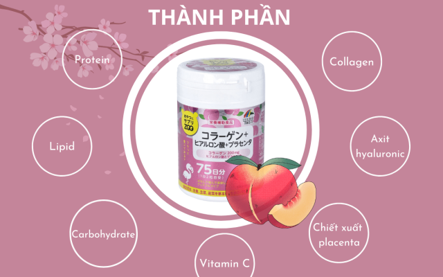 thành phần của viên nhai unimat riken 