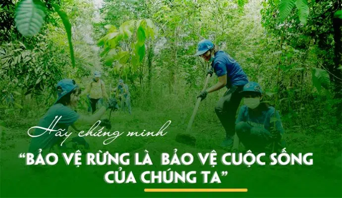 Quỹ Bảo vệ Rừng Việt Nam (VFF)