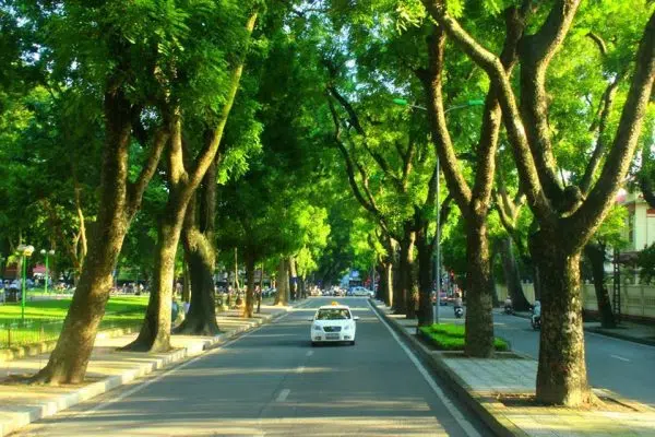 Bảo vệ môi trường