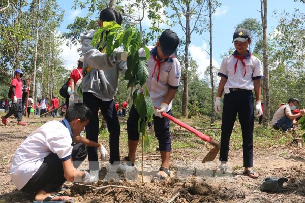 Trồng cây xanh trong các khu bảo tồn thiên nhiên, vườn quốc gia