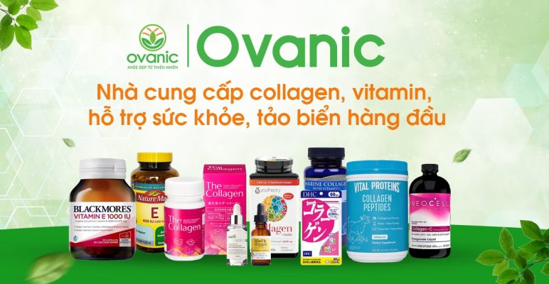 Vì sao nhiều khách hàng tin tưởng lựa chọn Ovanic.vn