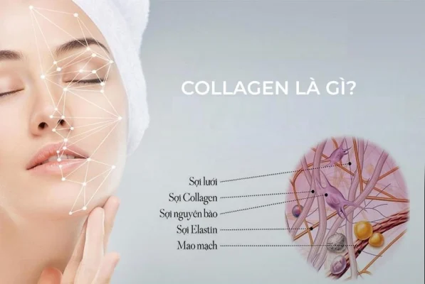 Tại sao collagen quan trọng cho làn da?