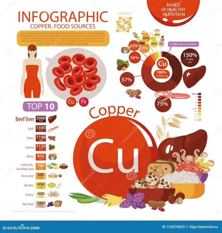infographic về các loại thực phẩm chứa nhiều đồng